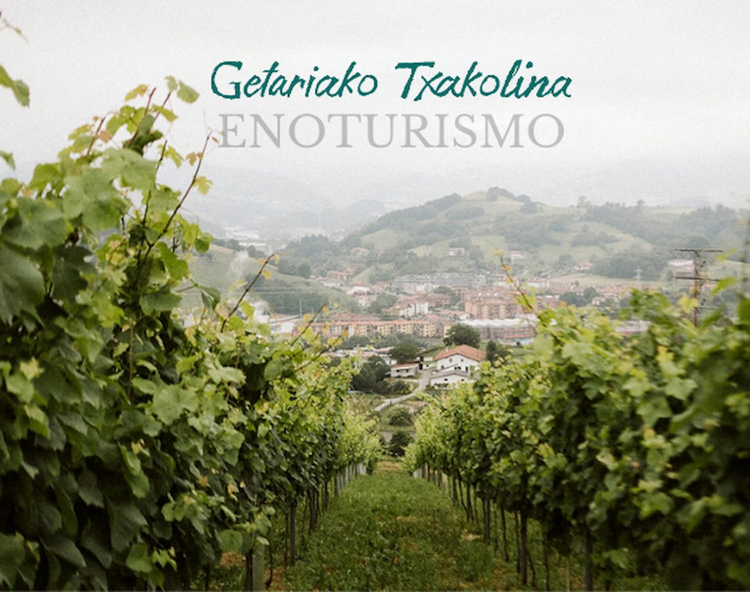 Enoturismo en Tolosaldea