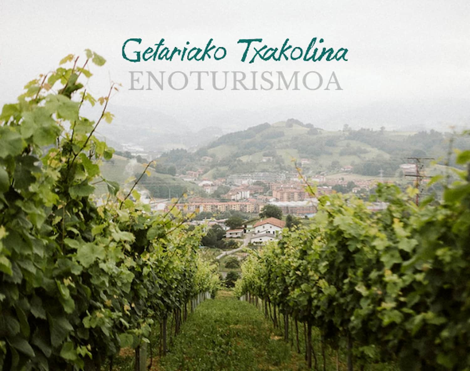 Tolosaldea - aberastasun gastronomikoa ingurune natural pribilegiatu batean