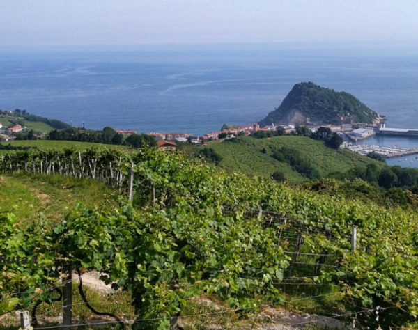 Getariako Txakolina ibilbideak 1 Getaria – Askizu – Getaria
