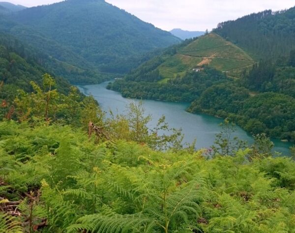 Ibilbidea Ibai-Eder Urtegia Nuarbe-Illarraldea