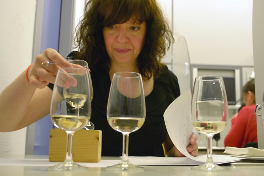 Catas-Lasehu-Getariako-txakolina