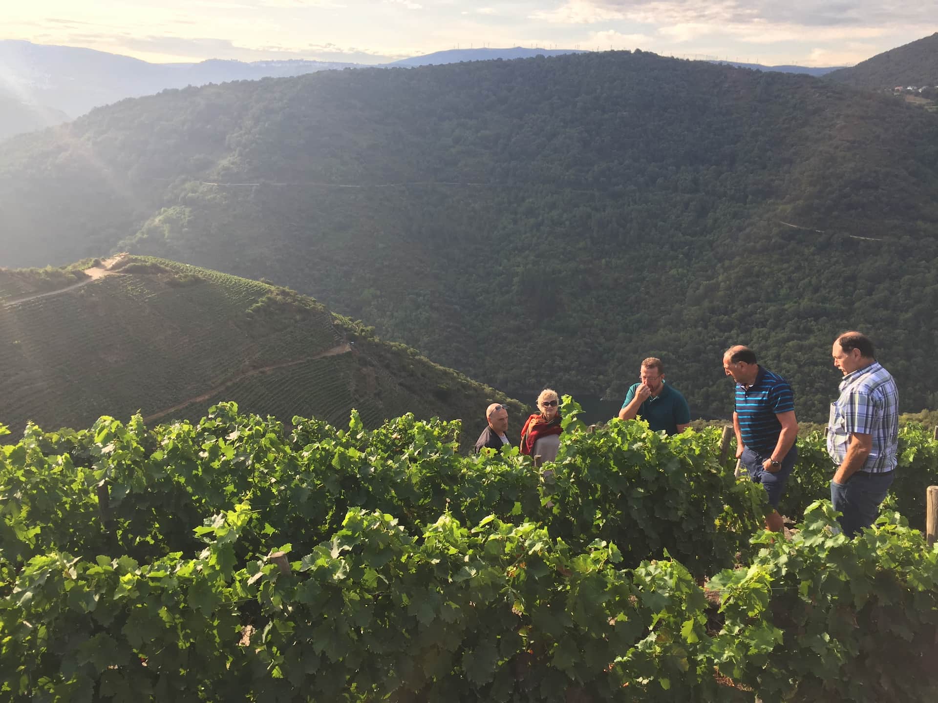 Getariako Txakolina J.D-ren bisita Ribeira Sacra eta Bierzoko Jatorri Deituretara - portada