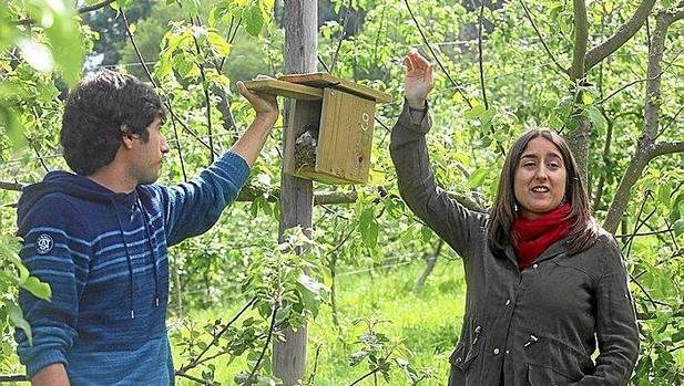 Getariako Txakolineko upategiak BIOBOX proiektuan - portada