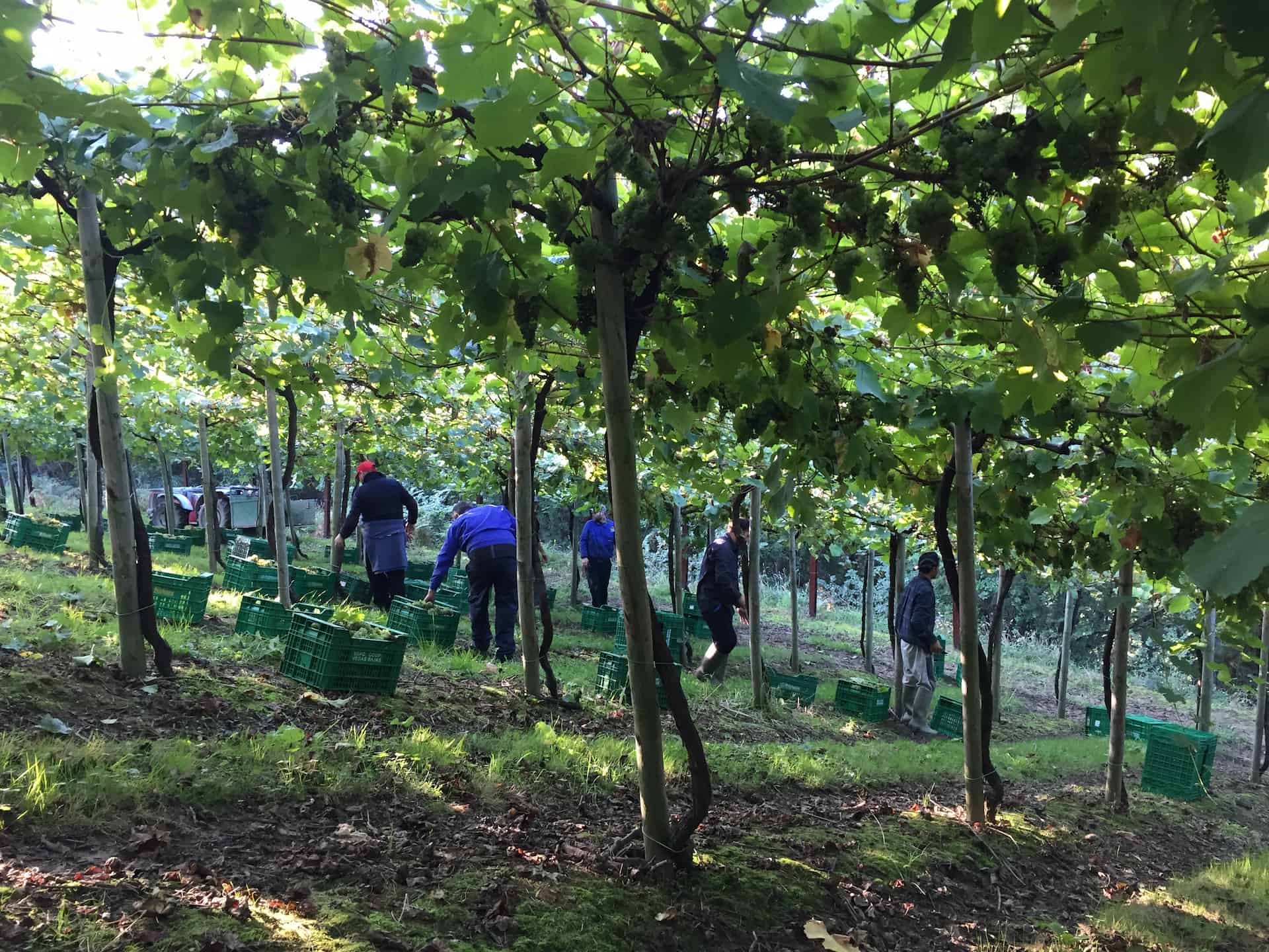 Gure Lurra Landa eta hiri mundua lotzea funtsezkoa izango da etorkizun jasangarrirako - portada